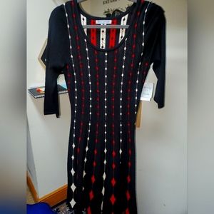 Danny and Nicole sweater dress